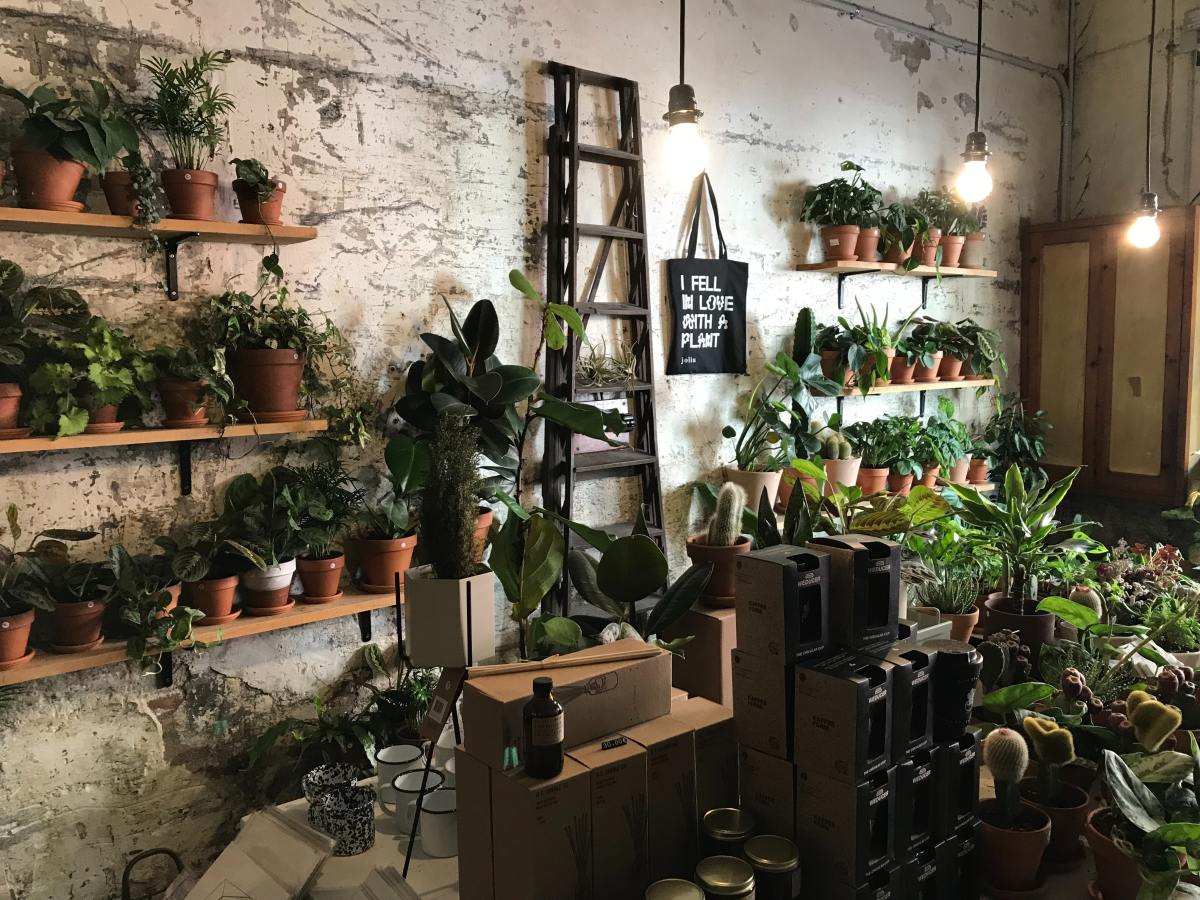 5 boutiques où te procurer les plus belles plantes à Montréal!